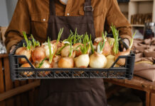 Мужчина в фартуке, держащий лук на рынке