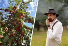 sergej yurin delitsya neobychnymi yablochnymi zagotovkami iz ambara i ekootelya eryomichi-uralnovosti-ru-0