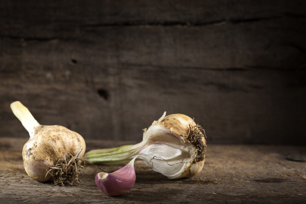 Свежий чеснок