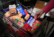 Владивосток произвел впечатление на Тейлор Хуску, жену вратаря «Адмирала» vladivostok proizvel vpechatlenie na tejlor husku zhenu vratarya admirala-uralnovosti-ru-0