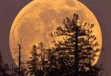 7 i 8 oktyabrya budet vidimo idealnoe polnolunie urozhajnoj luny-uralnovosti-ru-0