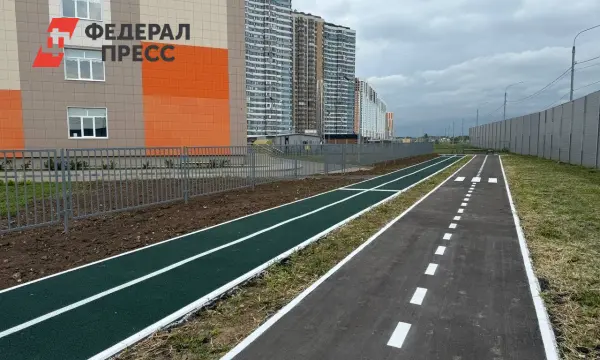 Администрация Рязани создаёт современные школы, детские сады и стадионы-0