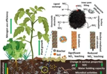 Биоуголь от Обернского университета поможет создать чистые почвы и устойчивое сельское хозяйство biougol ot obernskogo universiteta pomozhet sozdat chistye pochvy i ustojchivoe selskoe hozyajstvo-uralnovosti-ru-0