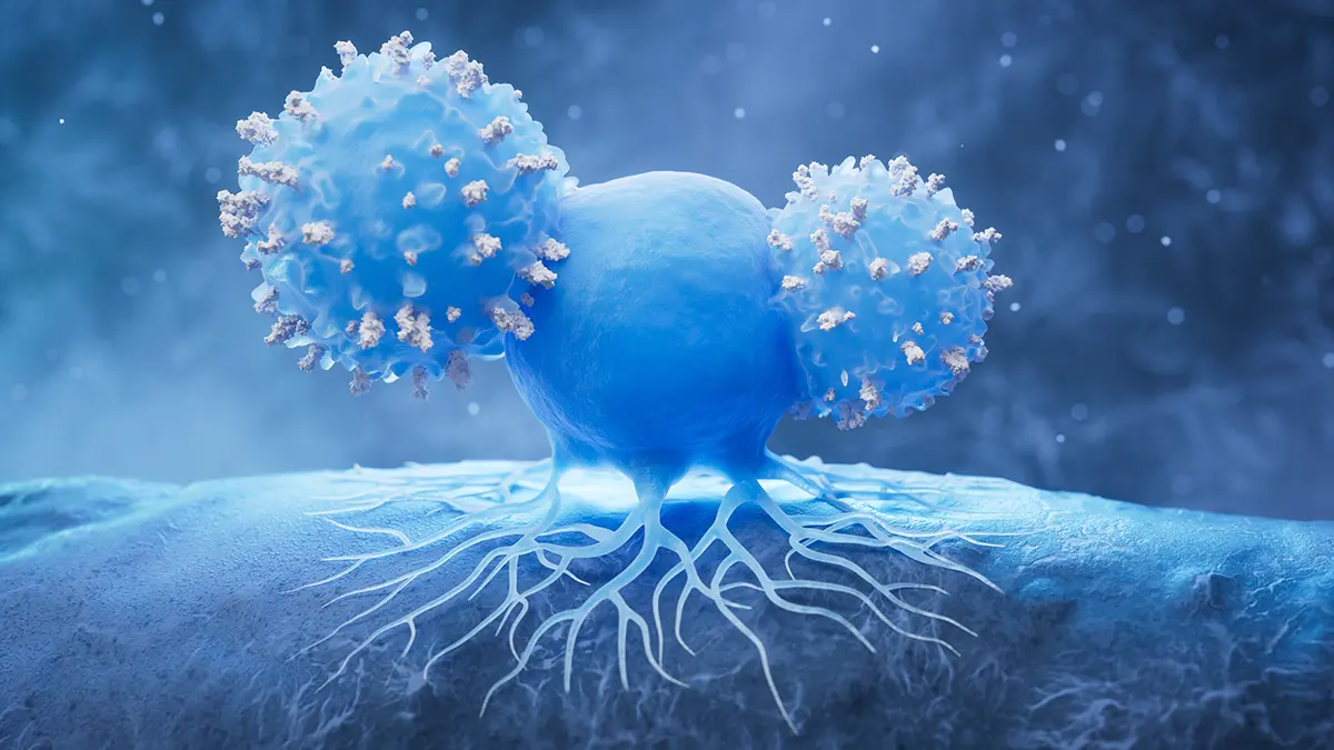 Чем полезен гриб чага