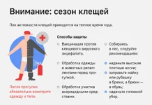 Департамент природопользования сообщает о снижении активности клещей в Москве departament prirodopolzovaniya soobshhaet o snizhenii aktivnosti kleshhej v moskve-uralnovosti-ru-0