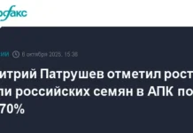Дмитрий Патрушев доложил Путину о росте производства семян АПК до 70% dmitrij patrushev dolozhil putinu o roste proizvodstva semyan apk do 70-uralnovosti-ru-0