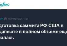 dmitrij peskov obsudil vozmozhnye perspektivy vstrechi putina i trampa v budapeshte-uralnovosti-ru-0