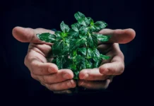 Экогиды и Департамент природопользования поднимают уровень экологической культуры ekogidy i departament prirodopolzovaniya podnimayut uroven ekologicheskoj kultury-uralnovosti-ru-0