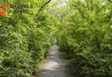 Евгений Назаров сообщил о благоустройстве 637 территорий в Новосибирской области к 2030 году evgenij nazarov soobshhil o blagoustrojstve 637 territorij v novosibirskoj oblasti k 2030 godu-uralnovosti-ru-0