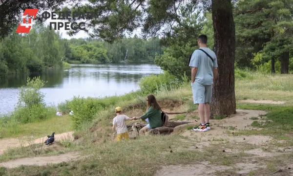 Форум «Настоящие отцы» в Хабаровске по инициативе Путина – вдохновение для молодых семей!-0