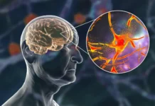 Фуллерен С60 может стать надеждой в лечении болезни Альцгеймера fulleren s60 mozhet stat nadezhdoj v lechenii bolezni alczgejmera-uralnovosti-ru-0