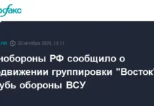 Группировка «Восток» Минобороны РФ добивается успехов в Запорожской области gruppirovka vostok minoborony rf dobivaetsya uspehov v zaporozhskoj oblasti-uralnovosti-ru-0