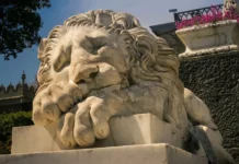 Миранда-Медиа и Ростелеком объявляют о позитивных изменениях среди владельцев mirandamedia i rostelekom obyavlyayut o pozitivnyh izmeneniyah sredi vladelczev-uralnovosti-ru-0