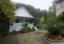 Никита Чаплин и Союз дачников Подмосковья делятся советами по защите участка зимой nikita chaplin i soyuz dachnikov podmoskovya delyatsya sovetami po zashhite uchastka zimoj-uralnovosti-ru-0