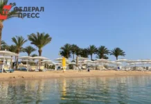 Ольга Каменская делится позитивным опытом жизни в Майами olga kamenskaya delitsya pozitivnym opytom zhizni v majami-uralnovosti-ru-0