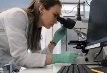 Палбоциклиб и телагленастат из Барселонского университета борются с колоректальным раком palbocziklib i telaglenastat iz barselonskogo universiteta boryutsya s kolorektalnym rakom-uralnovosti-ru-0