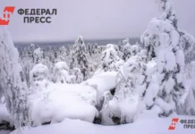 Партизанский район Красноярского края объединяется в поисках Усольцевых partizanskij rajon krasnoyarskogo kraya obedinyaetsya v poiskah usolczevyh-uralnovosti-ru-0