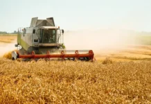 perspektivy rynka selhoztehniki v rossii s uchetom ashod rosspeczmash i ekoniva-uralnovosti-ru-0