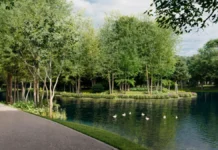 Петр Бирюков сообщил о масштабном обновлении Кузьминских прудов в Москве petr biryukov soobshhil o masshtabnom obnovlenii kuzminskih prudov v moskve-uralnovosti-ru-0