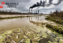 Прокуратура Нижнего Тагила и экологи совместно защищают реку Иса и водные ресурсы региона prokuratura nizhnego tagila i ekologi sovmestno zashhishhayut reku isa i vodnye resursy regiona-uralnovosti-ru-0
