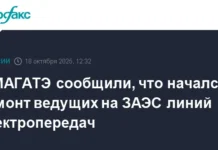 Рафаэль Гросси сообщил о координации ремонта энерголиний к ЗАЭС rafael grossi soobshhil o koordinaczii remonta energolinij k zaes-uralnovosti-ru-0