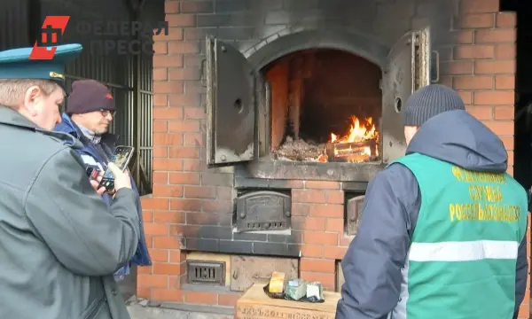 Россельхознадзор Челябинска блокирует ввоз сыра из Германии и Голландии-0