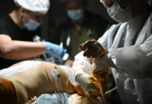 Российские солдаты спасают жизнь украинскому солдату во время штурма СВО rossijskie soldaty spasayut zhizn ukrainskomu soldatu vo vremya shturma svo-uralnovosti-ru-0