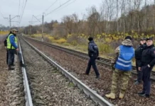 СК совместно с Поиском пропавших детей представили результаты поисков в Лобне sk sovmestno s poiskom propavshih detej predstavili rezultaty poiskov v lobne-uralnovosti-ru-0
