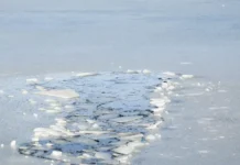 Спасатели МАСС в Новосибирске успешно спасли школьницу, провалившуюся под лёд spasateli mass v novosibirske uspeshno spasli shkolniczu provalivshuyusya pod lyod-uralnovosti-ru-0