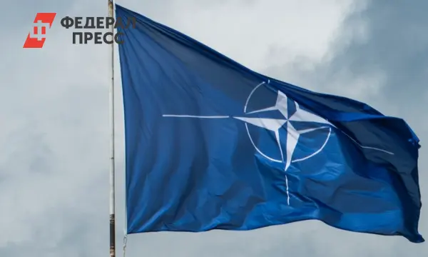 Страны НАТО и Турция продолжают активное сотрудничество с Россией вопреки санкциям-0