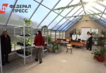 Светлана Балаева и Павел Сивков о развитии агрообразования в Анапе svetlana balaeva i pavel sivkov o razvitii agroobrazovaniya v anape-uralnovosti-ru-0