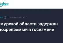 В Амурской области раскрыта связь между Telegram, ФСБ и ГУР МО Украины при задержании за диверсию на Транссибе v amurskoj oblasti raskryta svyaz mezhdu fsb i gur mo ukrainy pri zaderzhanii za diversiyu na transsibe-uralnovosti-ru-0
