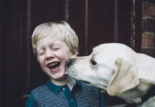 Владимир Голубев о взгляде Российской кинологической федерации на индивидуальность собак vladimir golubev o vzglyade rossijskoj kinologicheskoj federaczii na individualnost sobak-uralnovosti-ru-0