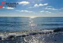 Во Владивостоке обновляется бухта Лазурная с участием Сухова и Зацаринного vo vladivostoke obnovlyaetsya buhta lazurnaya s uchastiem suhova i zaczarinnogo-uralnovosti-ru-0