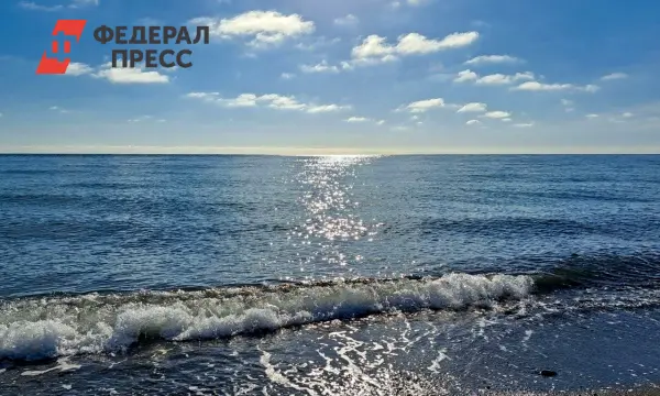 Во Владивостоке обновляется бухта Лазурная с участием Сухова и Зацаринного-0