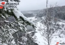 Волонтеры подписали соглашение о конфиденциальности для помощи семье Усольцевых volontery podpisali soglashenie o konfidenczialnosti dlya pomoshhi seme usolczevyh-uralnovosti-ru-0