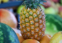 Ананасы и мандарины из Коста-Рики изменили цены в России в 2025 году ananasy i mandariny iz kostariki izmenili czeny v rossii v 2025 godu-uralnovosti-ru-0