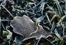 Гидрометцентр России ожидает морозы в Якутии, Чукотке, на Урале и в Сибири gidrometczentr rossii ozhidaet morozy v yakutii chukotke na urale i v sibiri-uralnovosti-ru-0