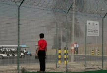 Индийский пилот истребителя Tejas рассказал о происшествии на авиашоу в Дубае indijskij pilot istrebitelya rasskazal o proisshestvii na aviashou v dubae-uralnovosti-ru-0