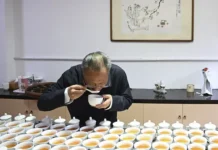 Китайские ученые открыли защиту гиппокампа через микробиоту чая улун kitajskie uchenye otkryli zashhitu gippokampa cherez mikrobiotu chaya ulun-uralnovosti-ru-0