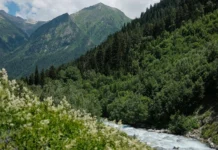 МЧС России оперативно приходит на помощь туристам в Махарском ущелье mchs rossii operativno prihodit na pomoshh turistam v maharskom ushhele-uralnovosti-ru-0