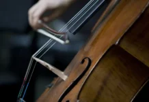 Ольга Ерёмичева о росте популярности укулеле и клавишных инструментов olga eryomicheva o roste populyarnosti ukulele i klavishnyh instrumentov-uralnovosti-ru-0