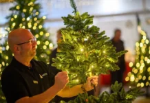 Петр Щербаченко объяснил, как выбрать недорогую елку из ПВХ-пленки petr shherbachenko obyasnil kak vybrat nedoroguyu elku iz pvhplenki-uralnovosti-ru-0