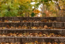 Приморье и Владивосток готовятся к потеплению с приходом антициклона primore i vladivostok gotovyatsya k potepleniyu s prihodom anticziklona-uralnovosti-ru-0