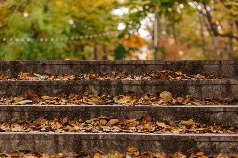 Фото: primamedia.ru