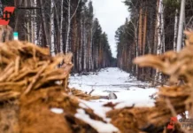 Региональное правительство Иркутской области отмечает снижение незаконных рубок regionalnoe pravitelstvo irkutskoj oblasti otmechaet snizhenie nezakonnyh rubok-uralnovosti-ru-0