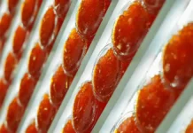 Рост цен на красную икру в России не влияет на спрос потребителей rost czen na krasnuyu ikru v rossii ne vliyaet na spros potrebitelej-uralnovosti-ru-0