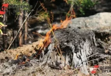 Сергей Куплевацкий о борьбе с пожарами и восстановлении в УФО sergej kuplevaczkij o borbe s pozharami i vosstanovlenii v ufo-uralnovosti-ru-0