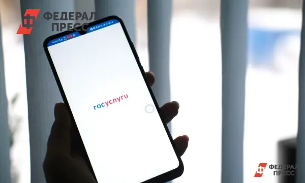 СФР ускоряет оформление пенсионной надбавки за заслуги через Госуслуги-0