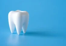 Ученые ДВФУ открывают новые горизонты в создании клеток для регенерации зубной ткани uchenye dvfu otkryvayut novye gorizonty v sozdanii kletok dlya regeneraczii zubnoj tkani-uralnovosti-ru-0